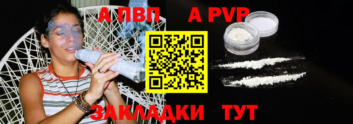 Альфа ПВП СК Сосновый Бор