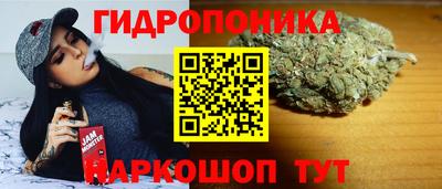 гашик Камышлов
