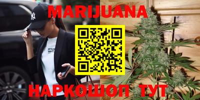 крисы Балаково