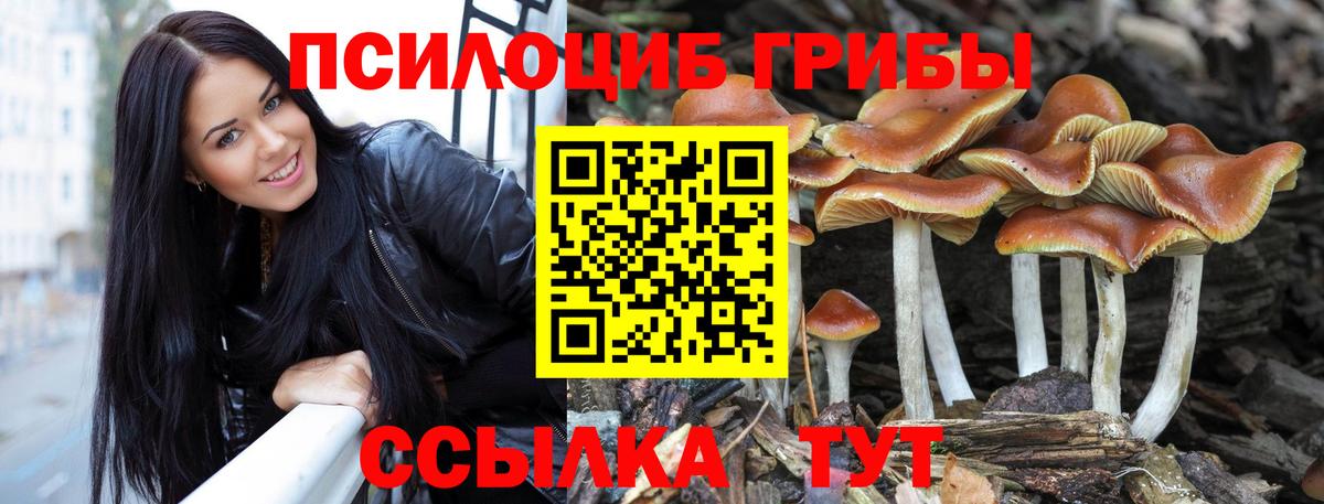 Галлюциногенные грибы мицелий  Сосновый Бор 