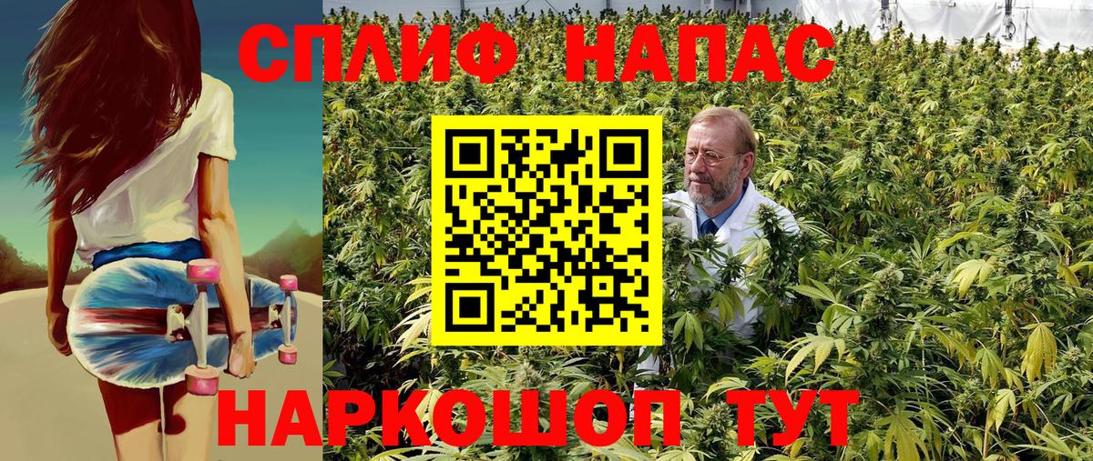Конопля LSD WEED Сосновый Бор